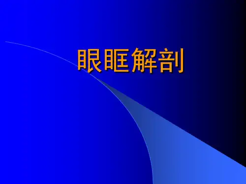 眼科学基础：眼眶解剖