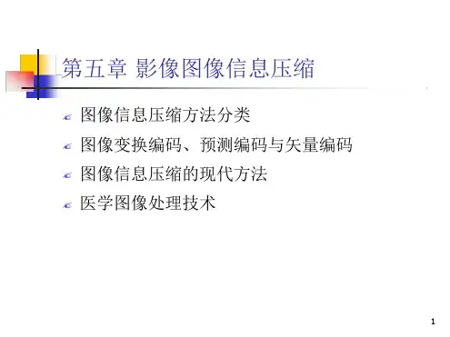 影像图象信息压缩 第五章