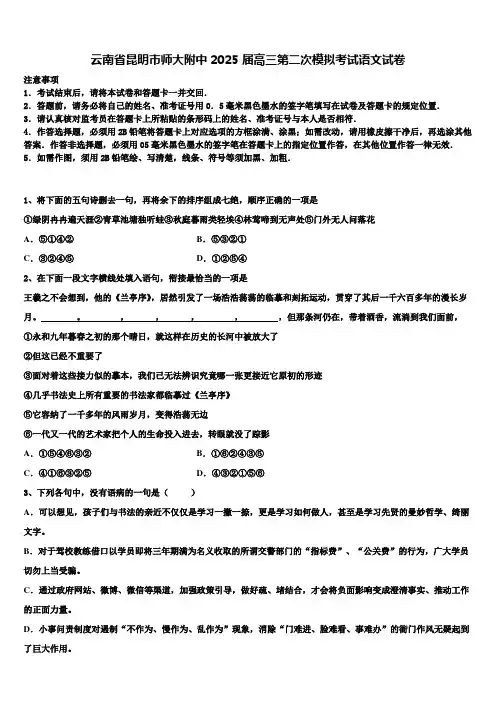 云南省昆明市师大附中2025届高三第二次模拟考试语文试卷含解析