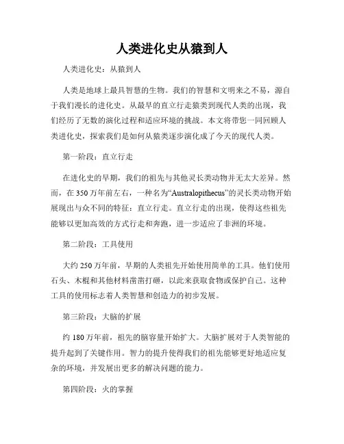 人类进化史从猿到人