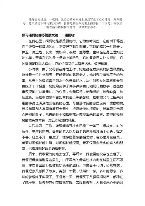 散文：描写梧桐树的抒情散文