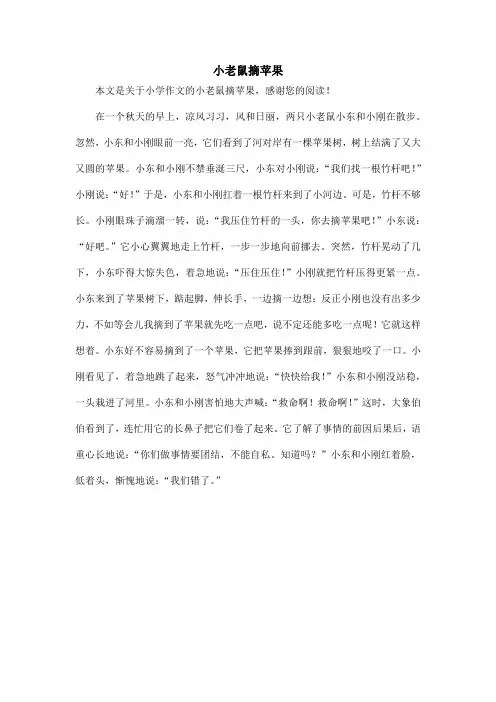 小老鼠摘苹果_小学作文