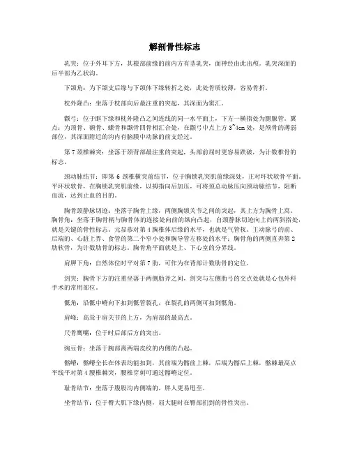 解剖骨性标志