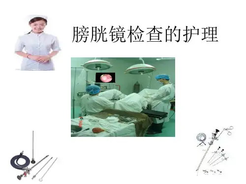 膀胱镜检查精品PPT课件