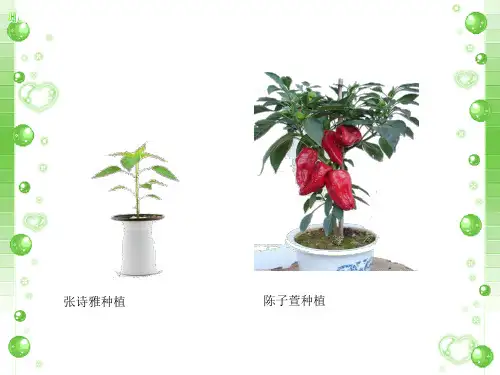 小学科学苏教版《肥沃的土壤》PPT优质课件1