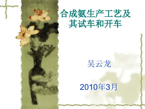 合成氨生产工艺及其试车和开车课件(PPT 198页)