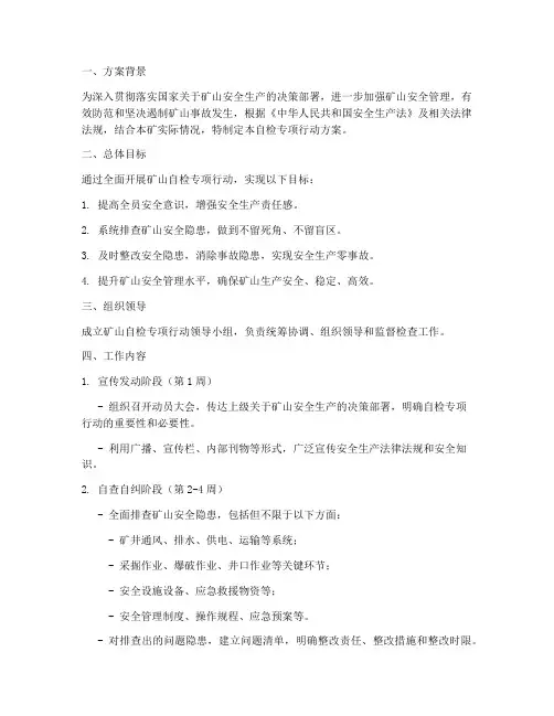 矿山自检专项行动方案