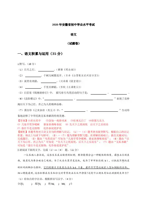 2020年安徽省中考语文试题(含解析)
