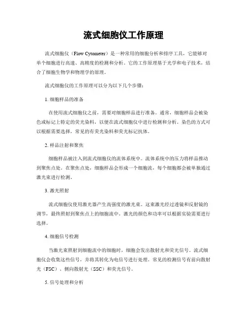 流式细胞仪工作原理