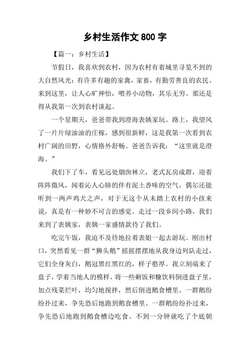 乡村生活作文800字