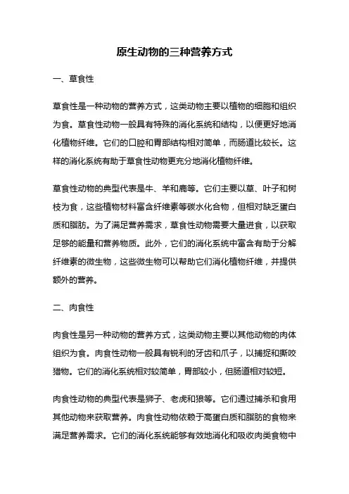 原生动物的三种营养方式