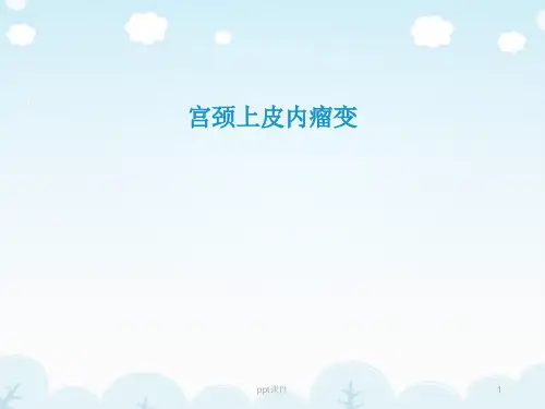 宫颈上皮内瘤变  ppt课件