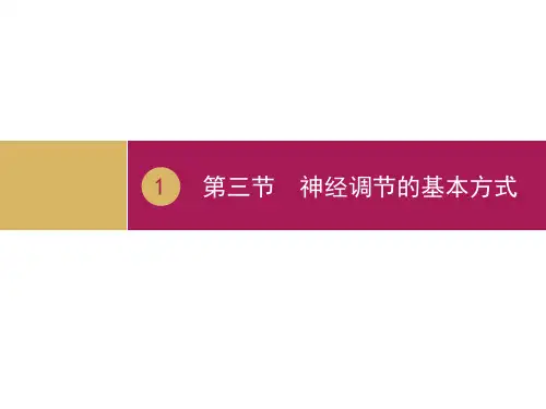《神经调节的基本方式》课件1
