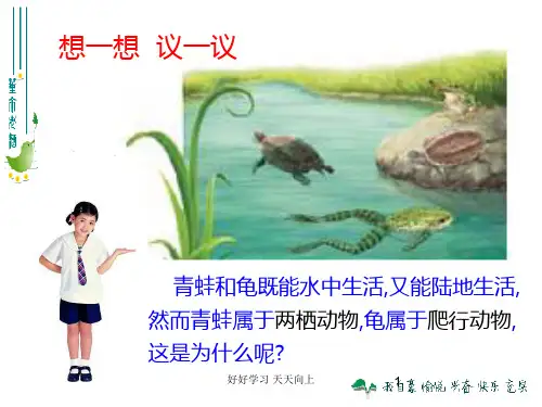 人教部编版八年级初二生物上册 两栖动物和爬行动物_课件 名师教学PPT课件