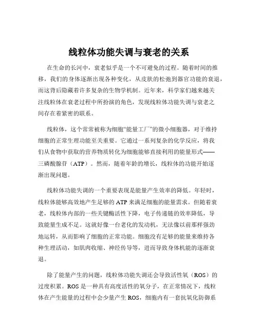 线粒体功能失调与衰老的关系