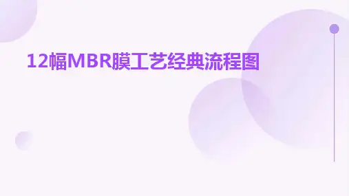 12幅MBR膜工艺经典流程图
