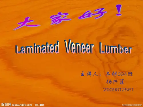 木材保护与改性单板层积材