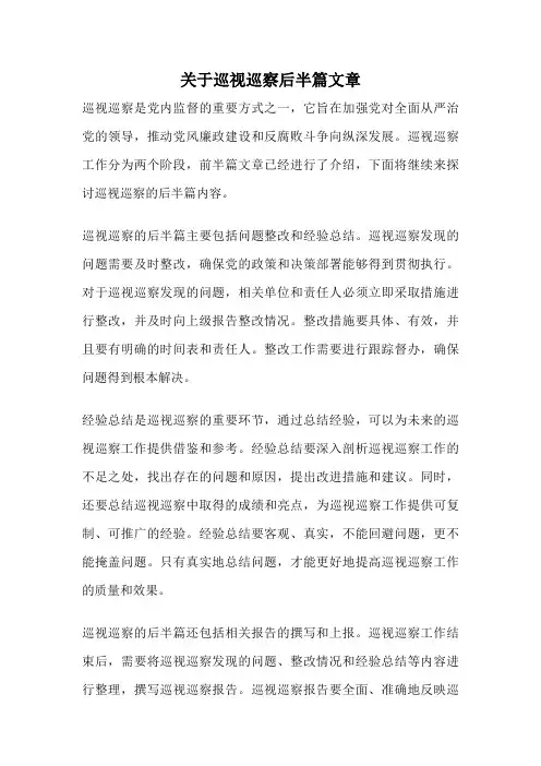 关于巡视巡察后半篇文章