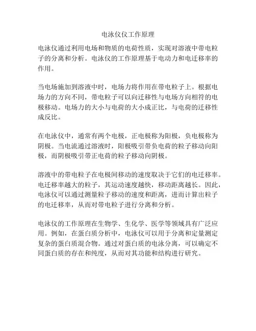 电泳仪仪工作原理