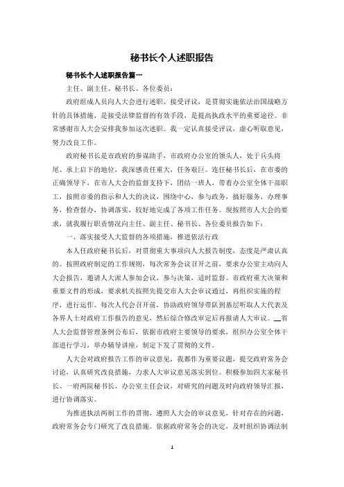 秘书长个人述职报告