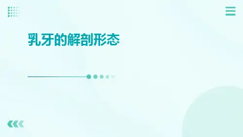 (医学课件)乳牙的解剖形态