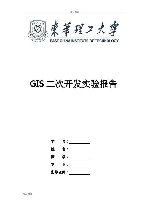 GIS二次开发实验报告