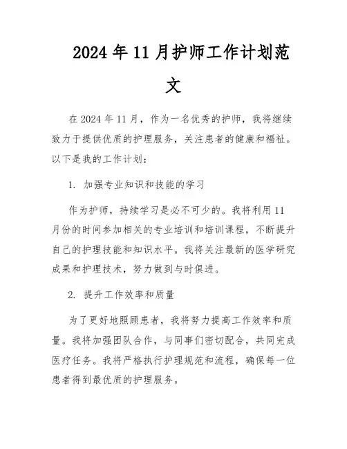 2024年11月护师工作计划范文