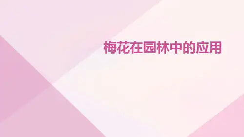 梅花在园林中的应用