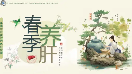 绿色中国风春季中医养肝