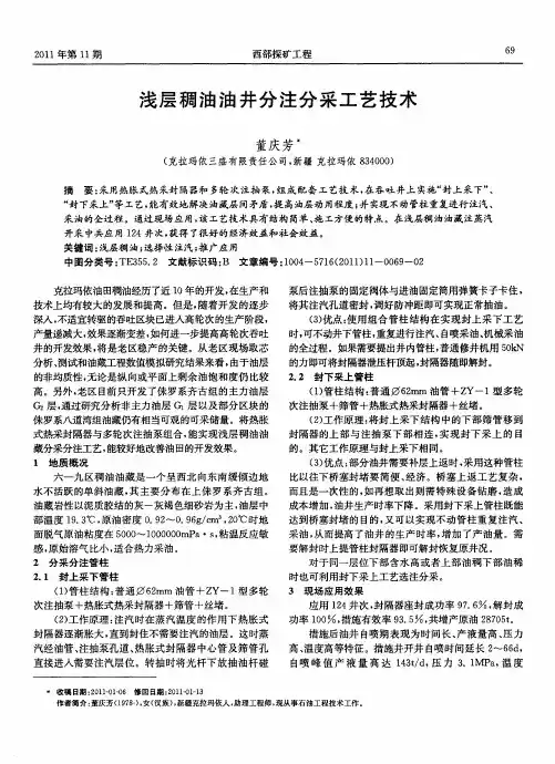 浅层稠油油井分注分采工艺技术