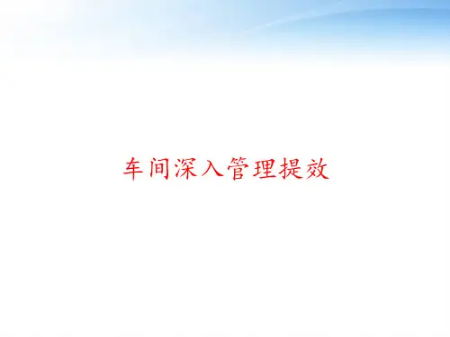 车间深入管理提效 ppt课件