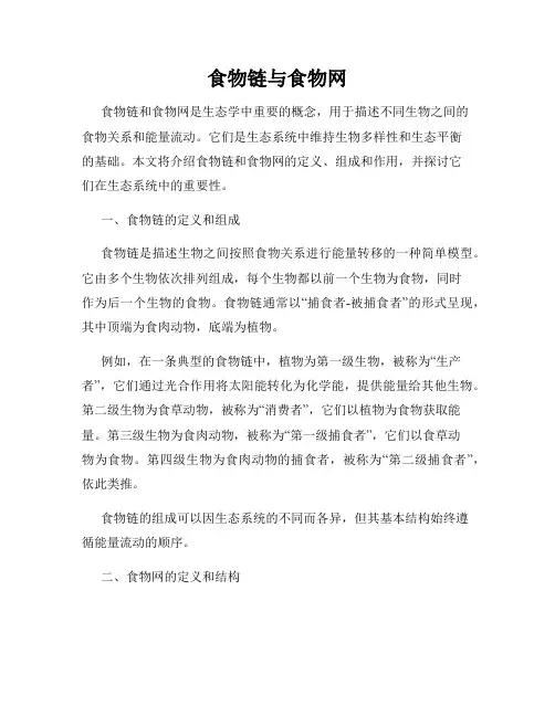 食物链与食物网