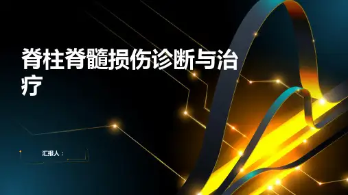 脊柱脊髓损伤诊断与治疗PPT