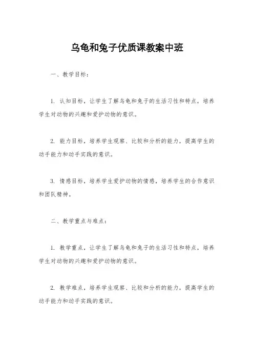 乌龟和兔子优质课教案中班