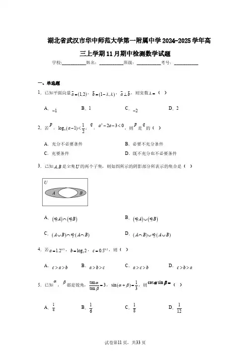 湖北省武汉市华中师范大学第一附属中学2024-2025学年高三上学期11月期中检测数学试题
