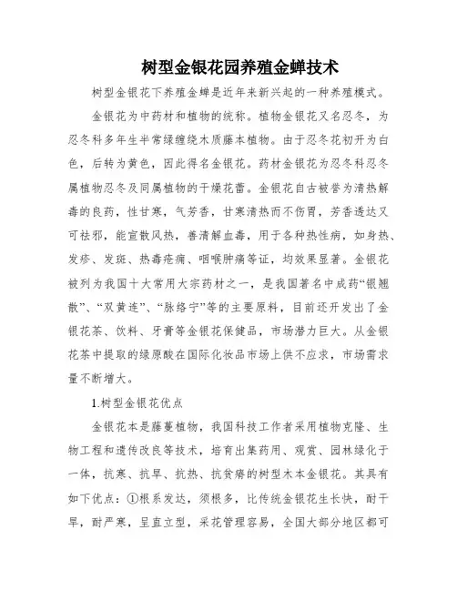 树型金银花园养殖金蝉技术