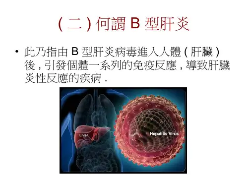最新B型肝炎析课件-PPT文档