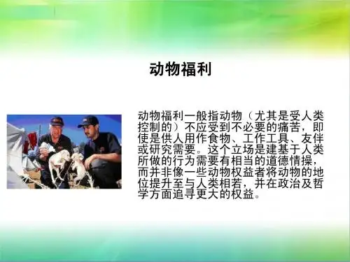 动物福利
