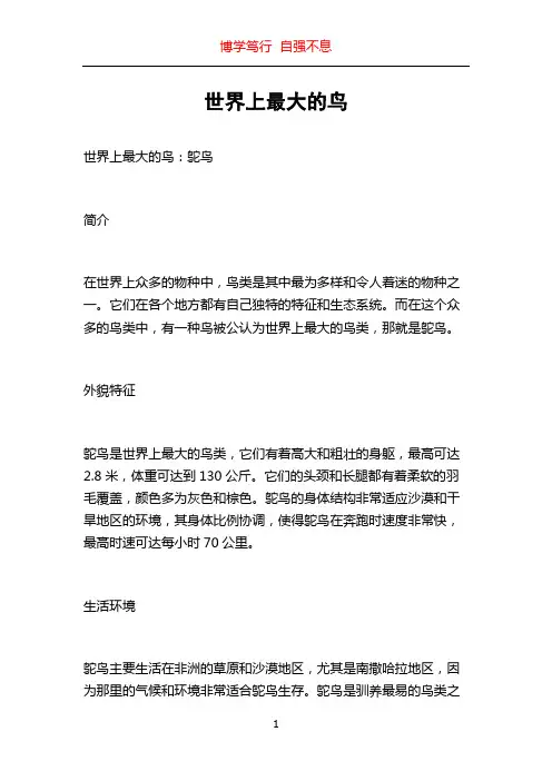 世界上最大的鸟