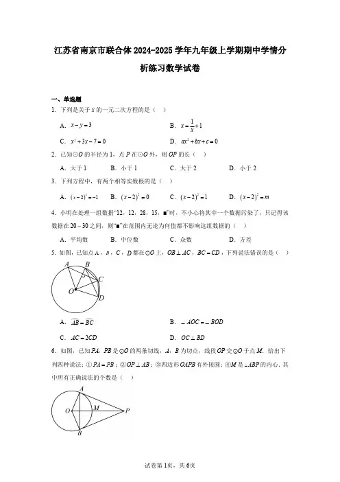 江苏省南京市联合体2024-2025学年九年级上学期期中学情分析练习数学试卷