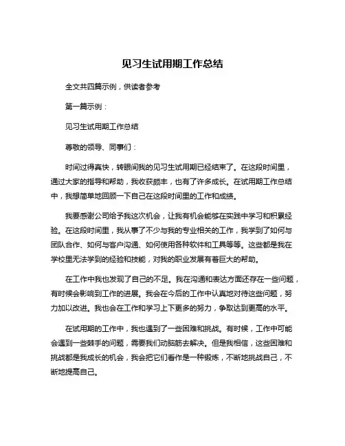 见习生试用期工作总结