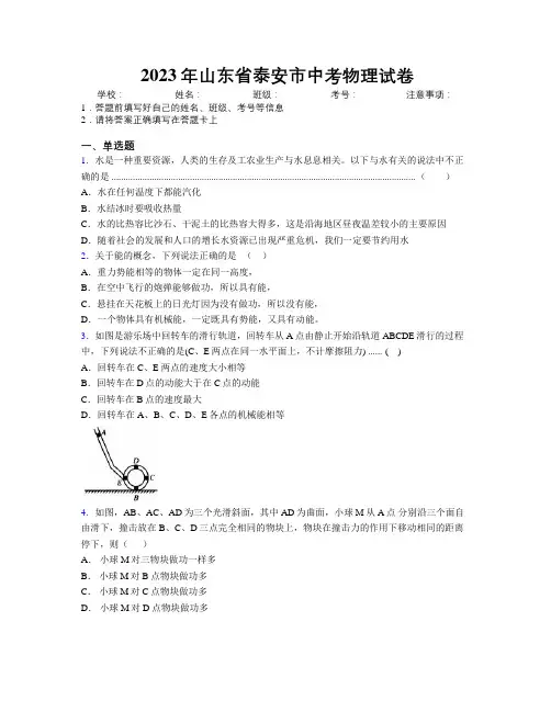 2023年山东省泰安市中考物理试卷及解析