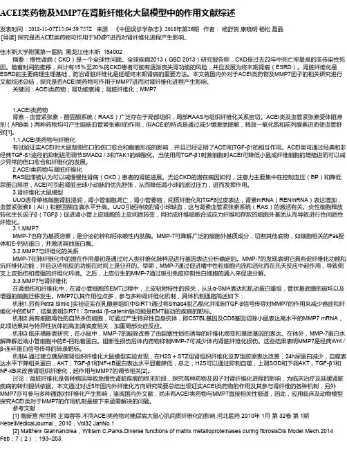 ACEI类药物及MMP7在肾脏纤维化大鼠模型中的作用文献综述