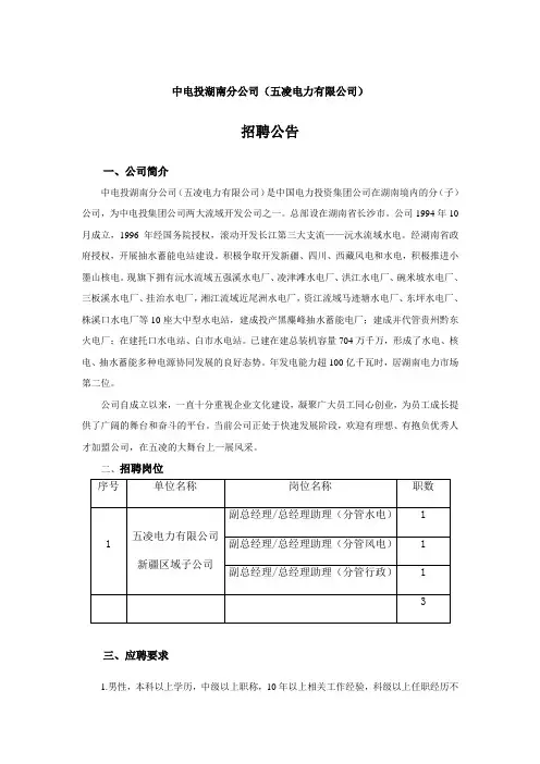 中电投湖南分公司(五凌电力有限公司)