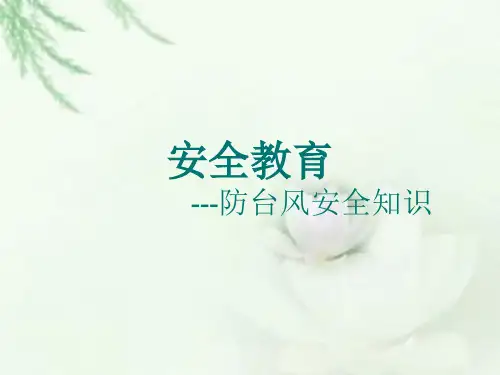 防台风安全教育