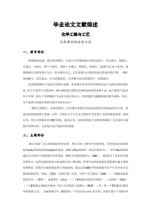 天然沸石的改性方法【文献综述】