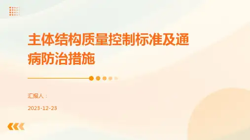 主体结构质量控制标准及通病防治措施