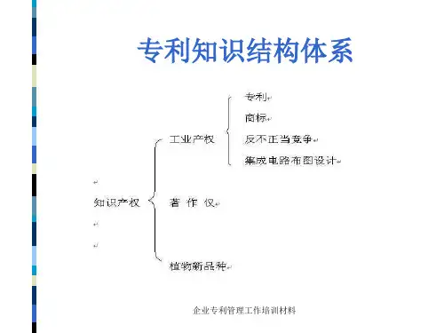 企业专利管理工作培训材料课件
