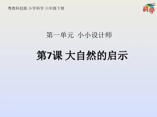 六年级下 第课 大自然的启示 粤教版ppt