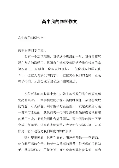 高中我的同学作文